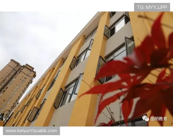 无障碍访问开云体育官方入口：体验流畅体育服务的秘诀